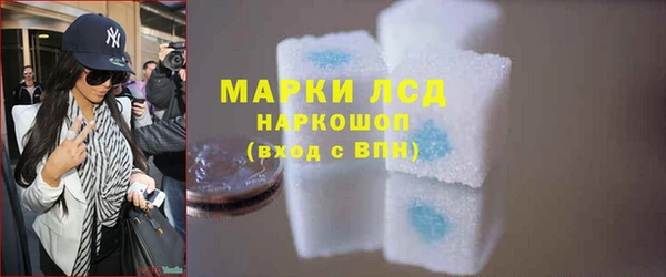 стаф Новосибирск