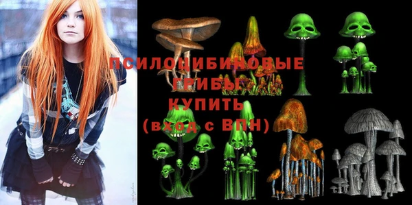 прущий лед Чердынь