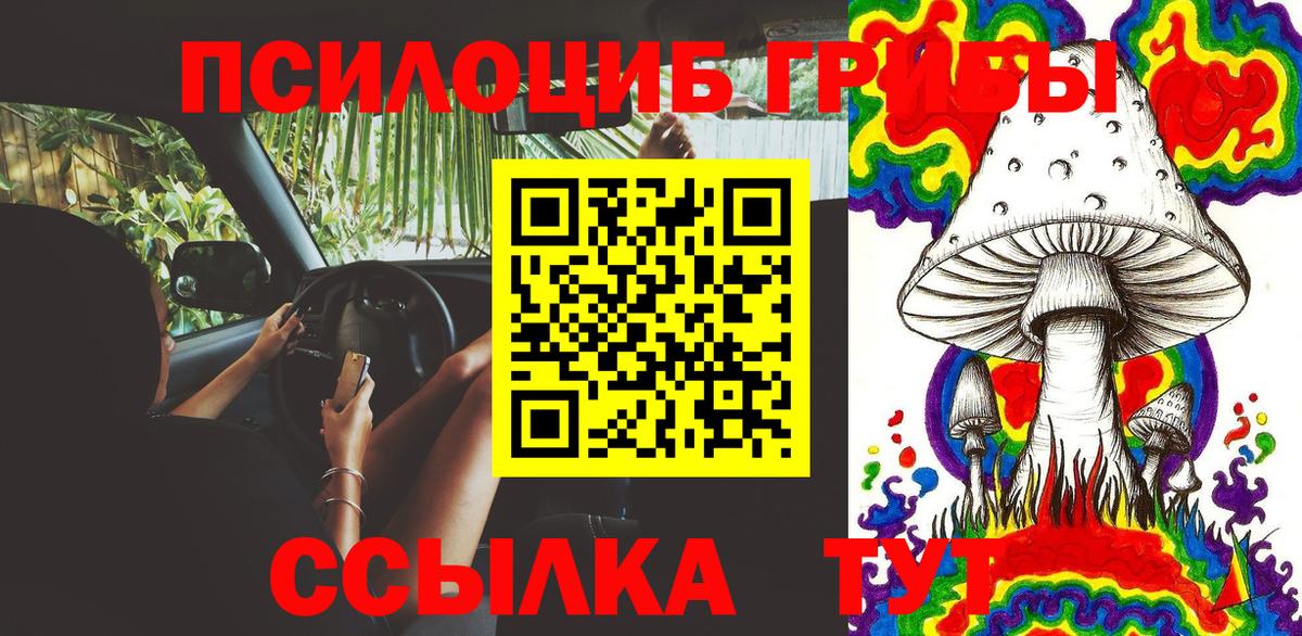 Галлюциногенные грибы Psilocybine cubensis Ярцево